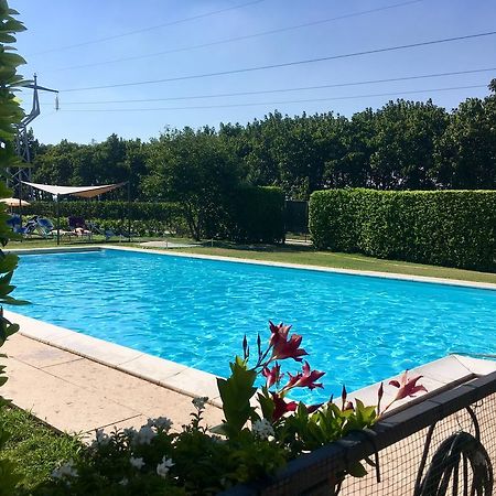Agriturismo Corte Pellegrini San Martino Buon Albergo Zewnętrze zdjęcie