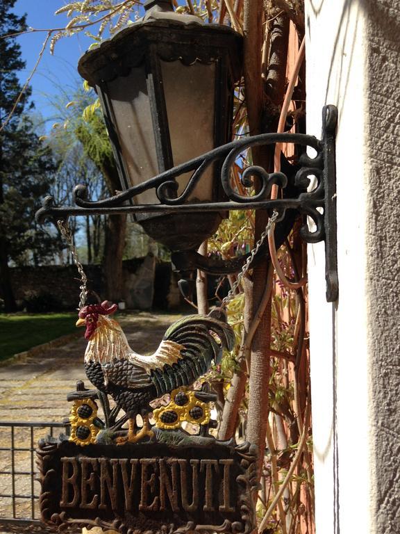 Agriturismo Corte Pellegrini San Martino Buon Albergo Zewnętrze zdjęcie