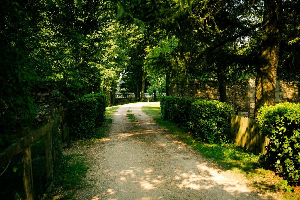 Agriturismo Corte Pellegrini San Martino Buon Albergo Zewnętrze zdjęcie
